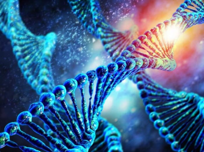 ДНК – изначальная мыслящая субстанция!