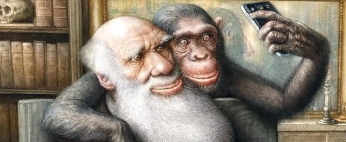 Почему люди отвергают учение Дарвина?